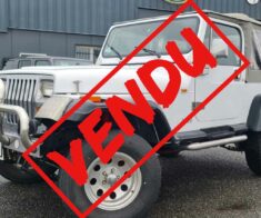 Jeep Wrangler YJ Blanc Occasion